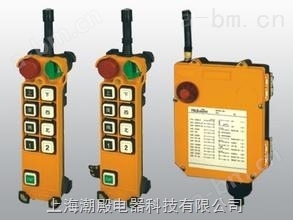 F24-10S 工业无线遥控器