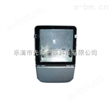 先知电器节能型广场灯 NFC9140-J400