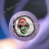 西门子紫色屏蔽电缆6XV1830-0EH10现货销售