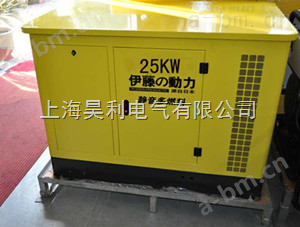 25KW大型*汽油发电机
